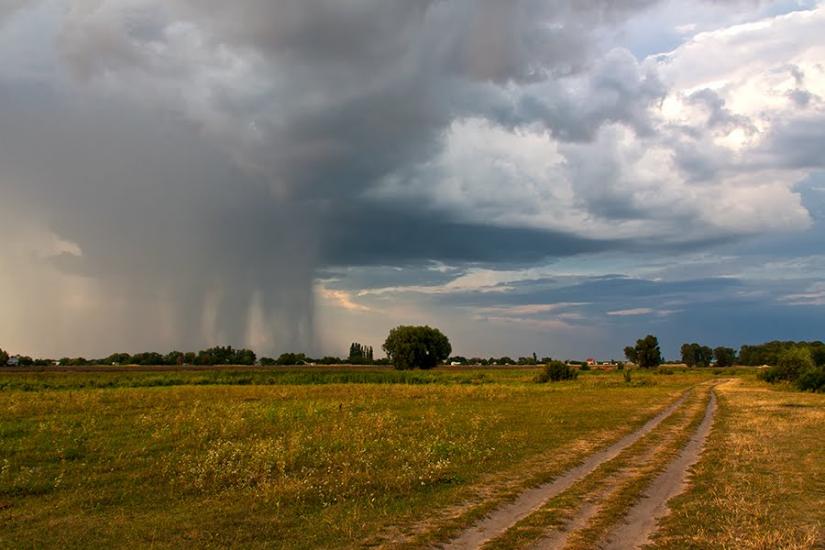 Кривуші з panoramio.com - Кривуші