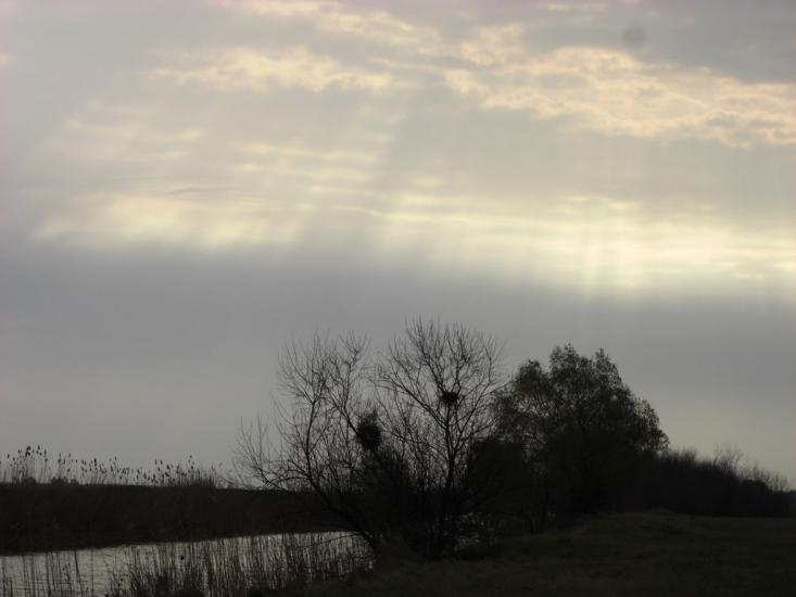 Стара Некрасівка з panoramio.com - Стара Некрасівка