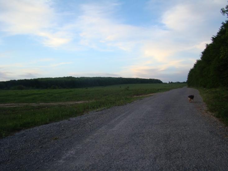 Іванківці з panoramio.com - Иванковцы