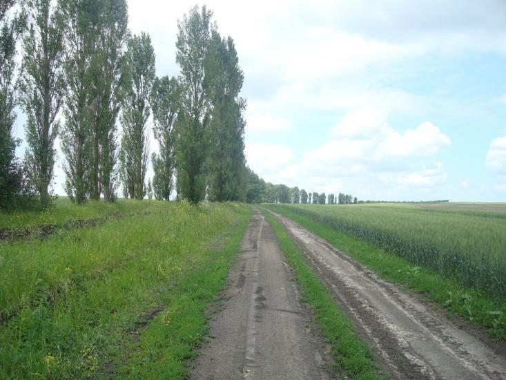 Давидківці з panoramio.com - Давыдковцы