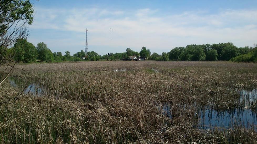 Ярешки з panoramio.com - Ярешки