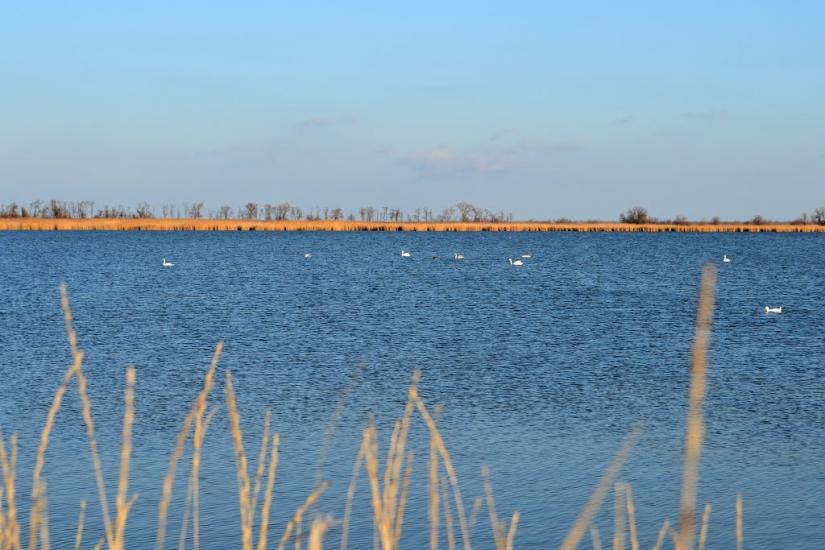 Дарівка з panoramio.com - Даровка