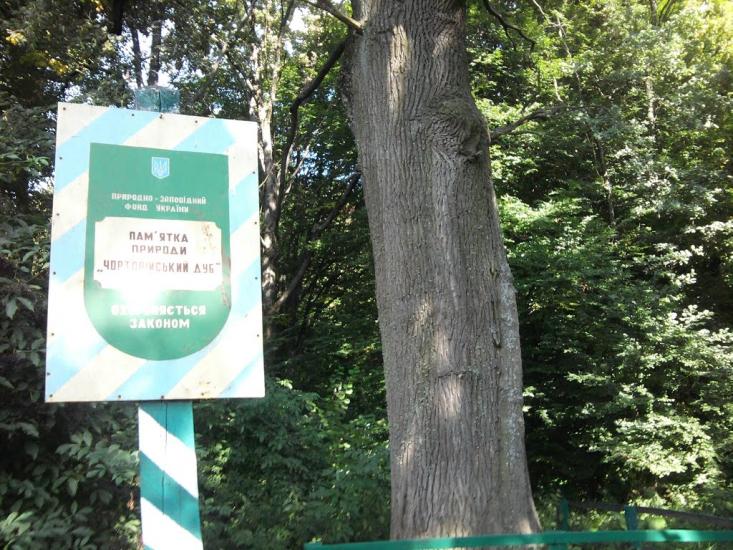 Малинівка з panoramio.com - Малиновка