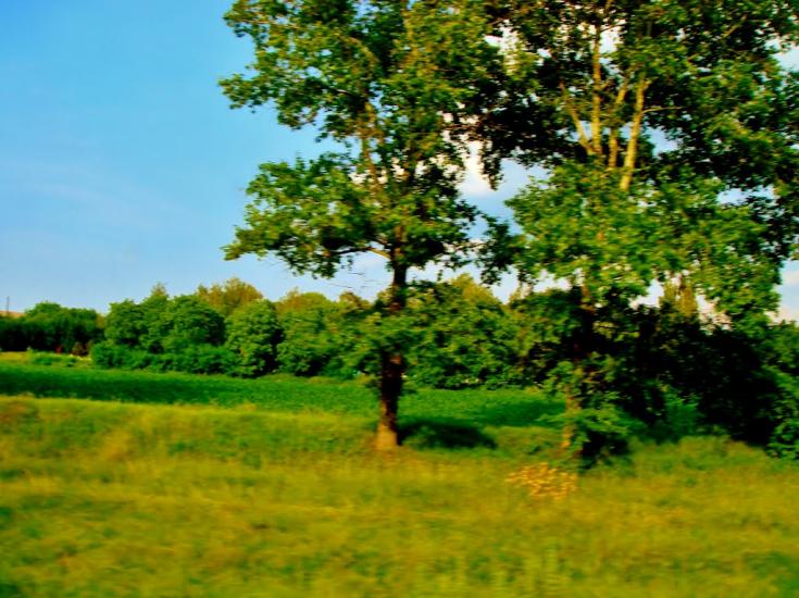 Медвин з panoramio.com - Медвин