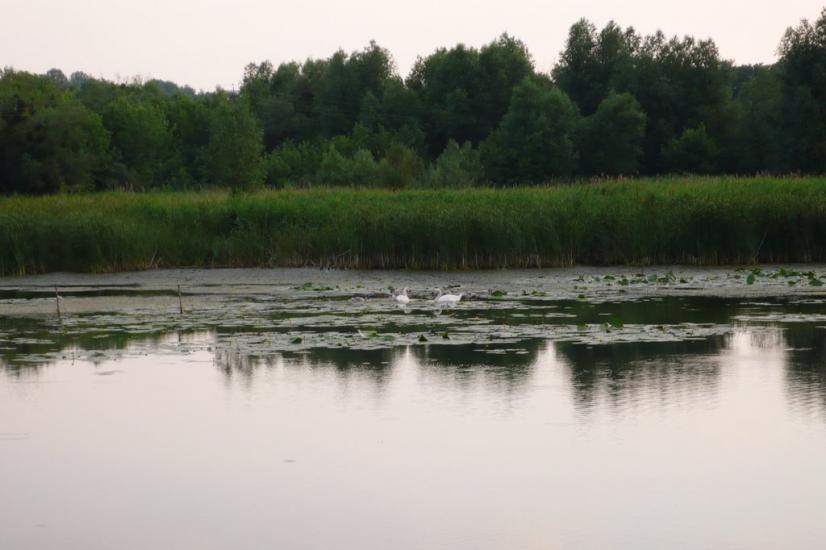 Іваньки з panoramio.com - Иваньки