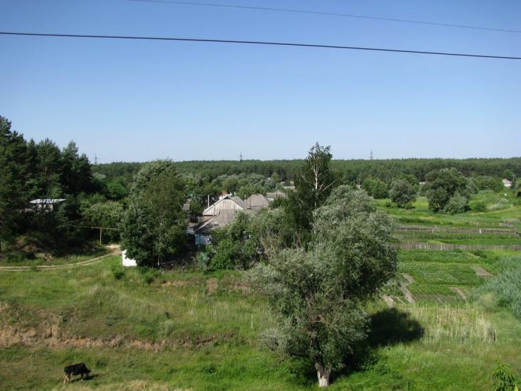 Чемужівка з panoramio.com - Чемужовка