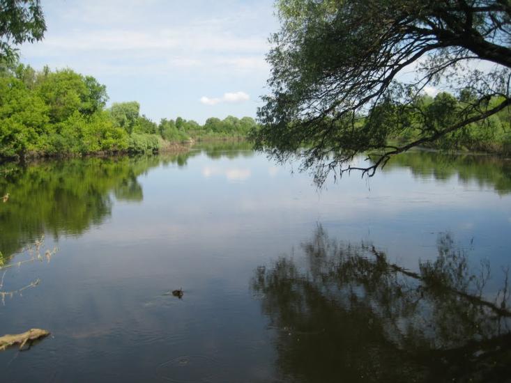 Камінь з panoramio.com - Камінь