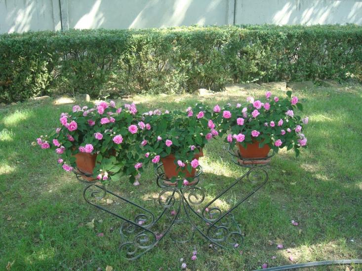 Учебне з panoramio.com - Учебное