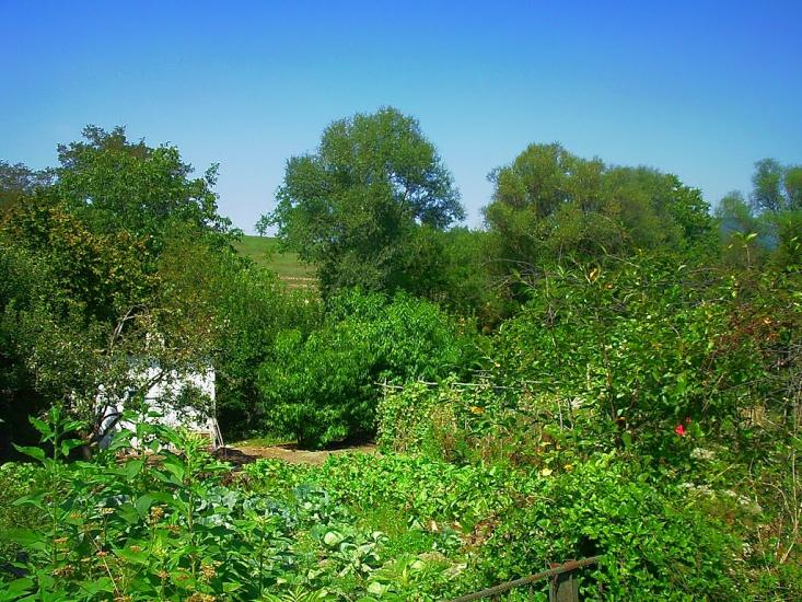 Плотинне з panoramio.com - Плотинное