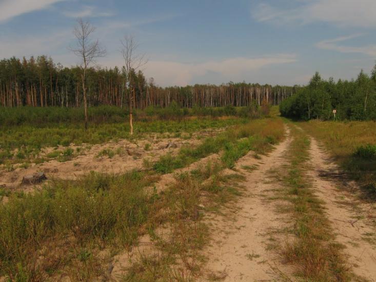 Макове з panoramio.com - Маково