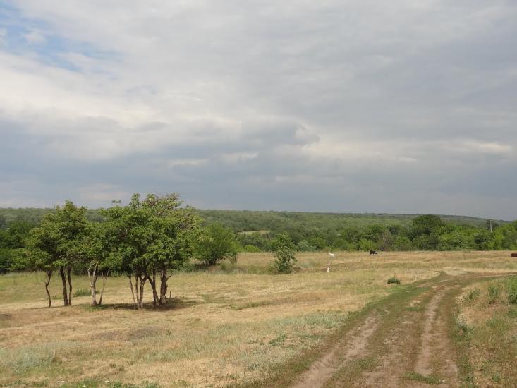 Карнаухівка з panoramio.com - Karnaukhivka