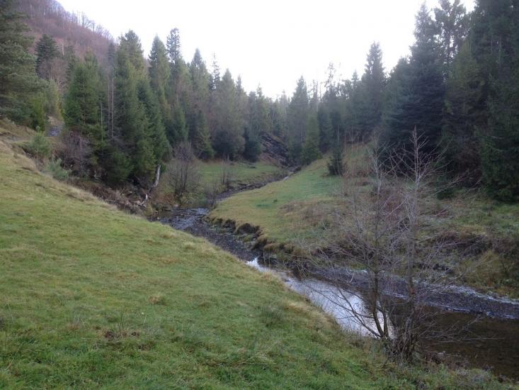 Труханів з panoramio.com - Труханов