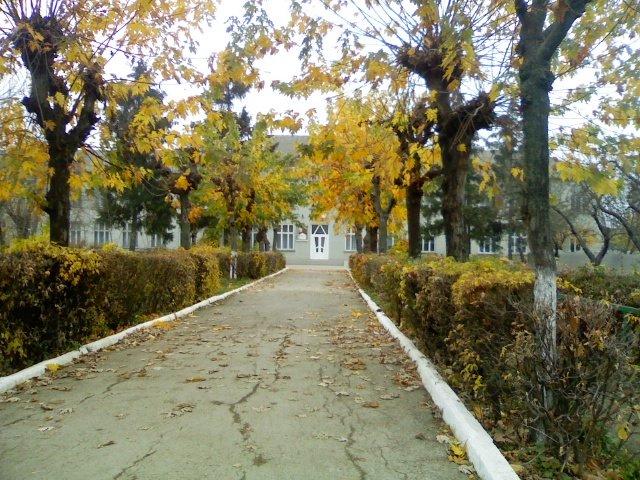 Думени з panoramio.com - Думены