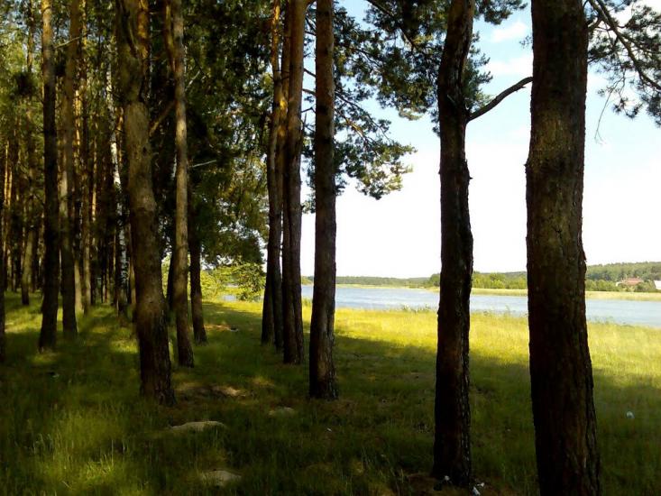 Макове з panoramio.com - Маково