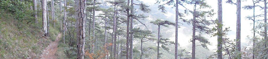 Відрадне з panoramio.com - Отрадное