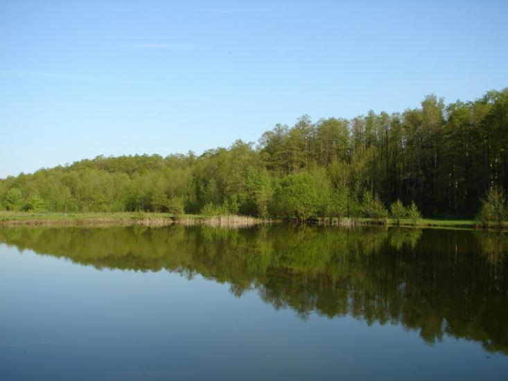 Рябці з panoramio.com - Рябці