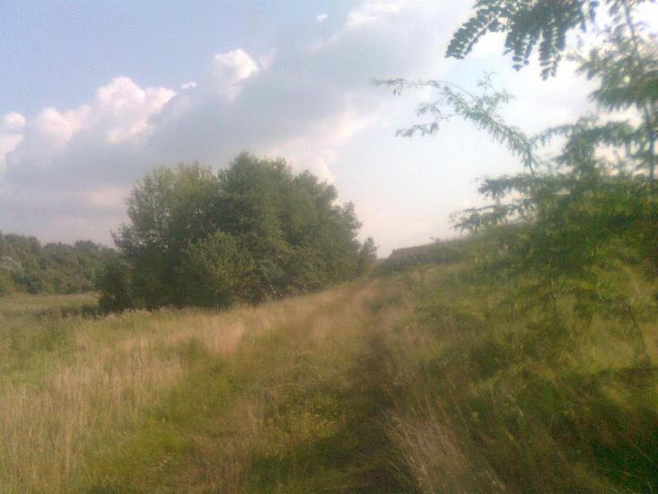 Чорна Кам'янка з panoramio.com - Черная Каменка