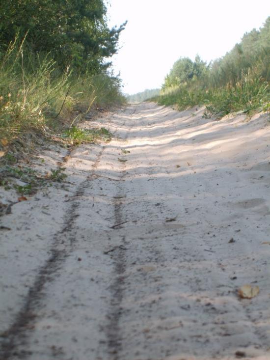 Тополівка з panoramio.com - Тополівка