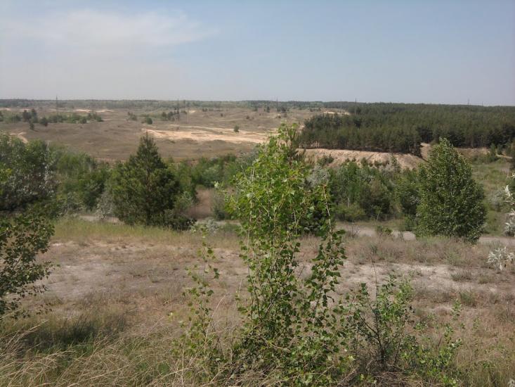 Петрівка з panoramio.com - Петровка