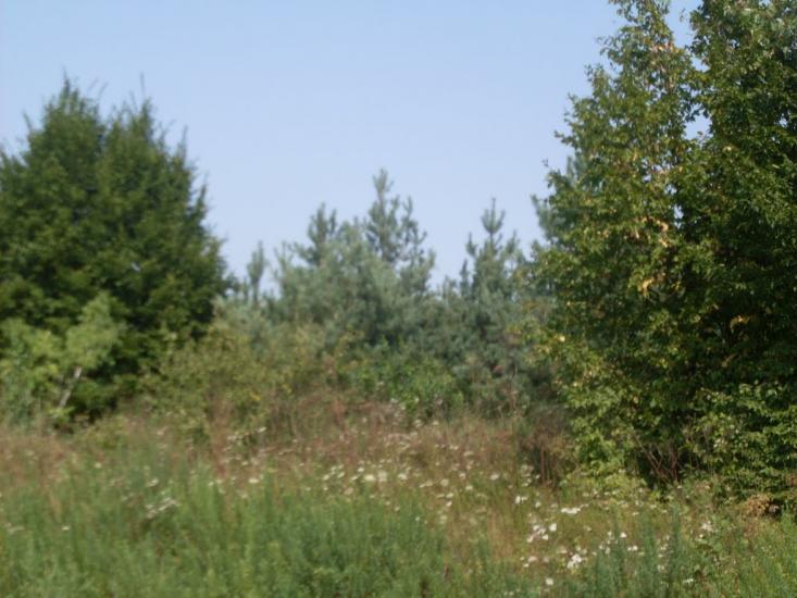 Китайгород з panoramio.com - Китайгород
