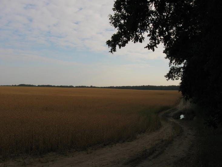 Семирічка з panoramio.com - Семиречка