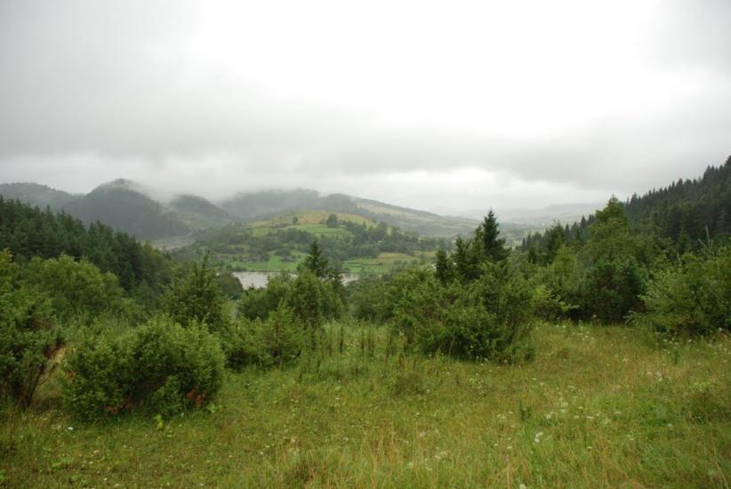 Явора з panoramio.com - Явора