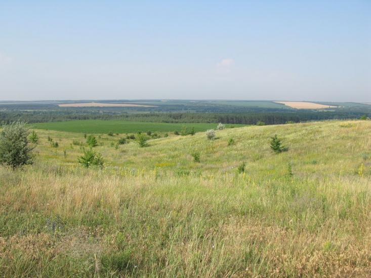 Нова Осота з panoramio.com - Новая Осота