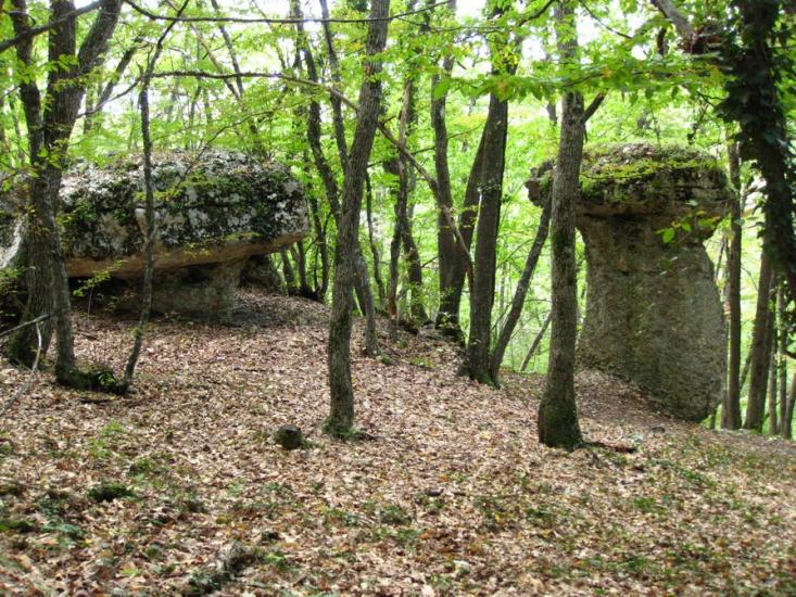 Дружне з panoramio.com - Дружне