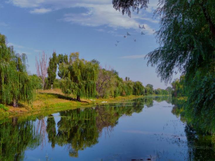Слов'яносербськ з panoramio.com - Славяносербск