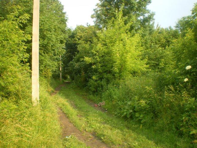 Черепашинці з panoramio.com - Cherepashyntsi