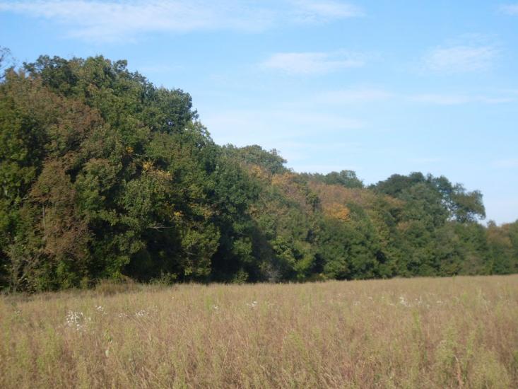 Карбівське з panoramio.com - Karbivske