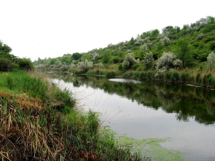 Могилівка з panoramio.com - Могилевка
