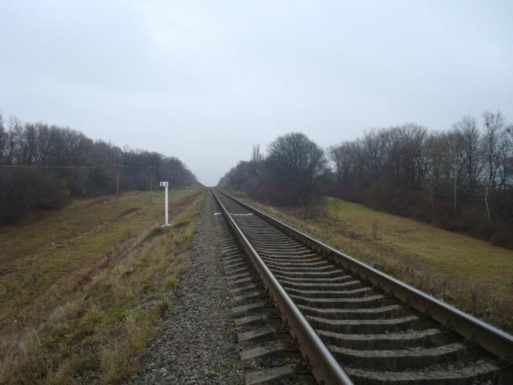 Кузьмин з panoramio.com - Кузьмин