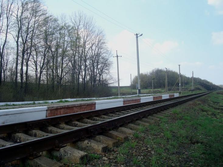 Красівка з panoramio.com - Красовка