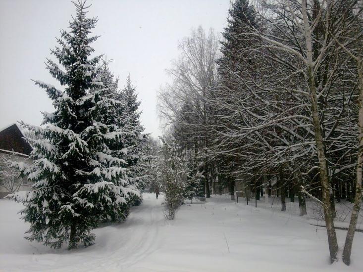 Бистрик з panoramio.com - Быстрик