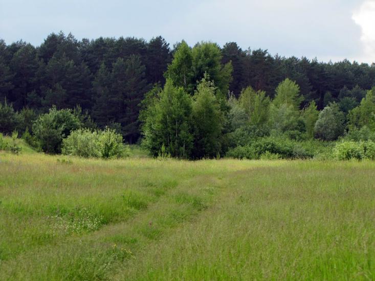 Халявин з panoramio.com - Халявин
