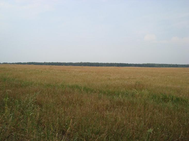Петрівське з panoramio.com - Петрівське