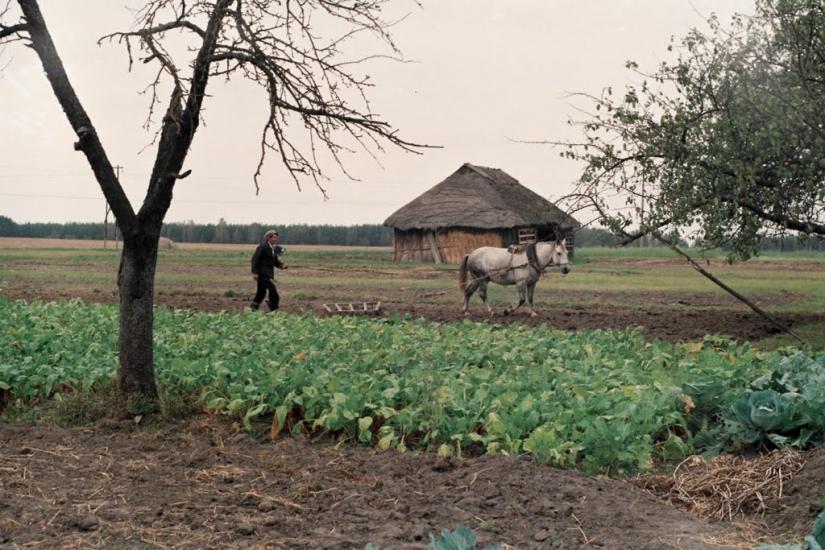 Шведчина з panoramio.com - Шведчина