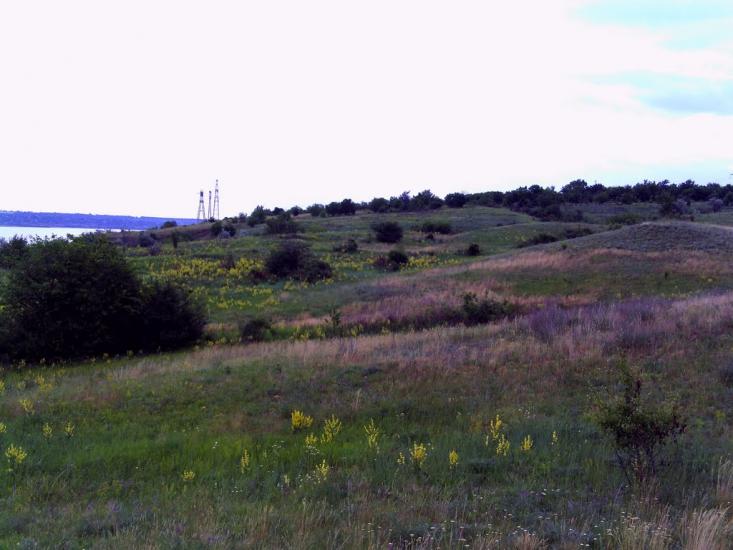 Гур'ївка з panoramio.com - Гурьевка