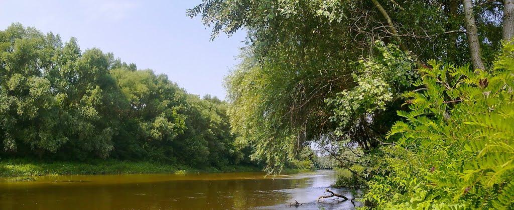 Говтва з panoramio.com - Govtva