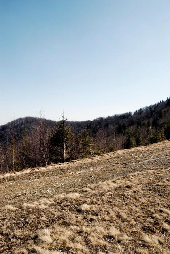 Букове з panoramio.com - Букове