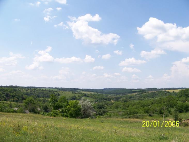 Талова Балка з panoramio.com - Талова Балка