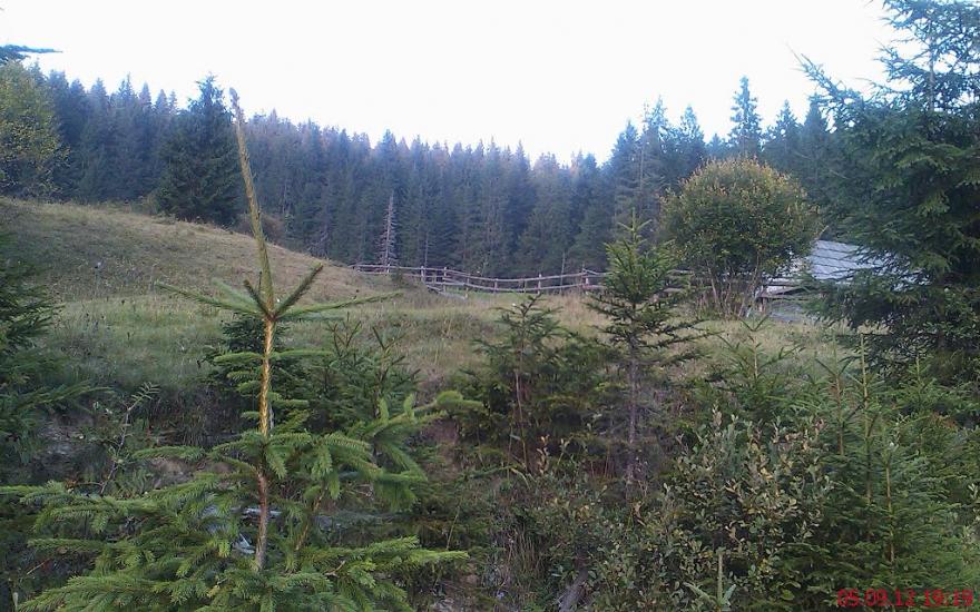 Бистриця з panoramio.com - Бистриця