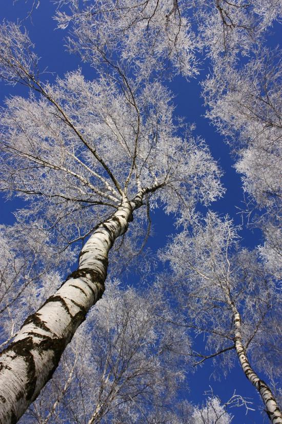 Суховоля з panoramio.com - Sukhovolya