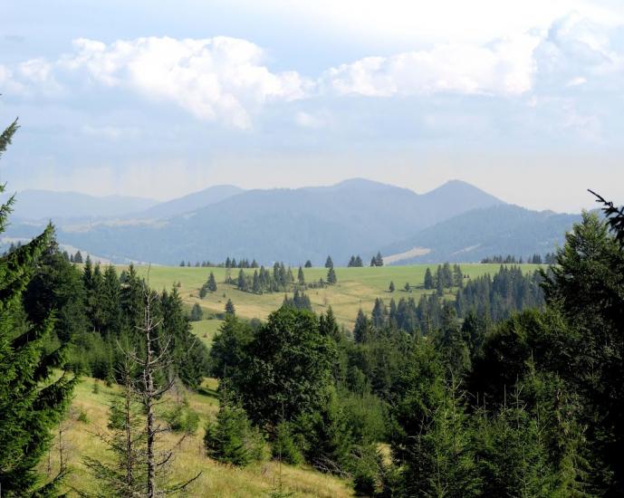 Хащованя з panoramio.com - Хащованя