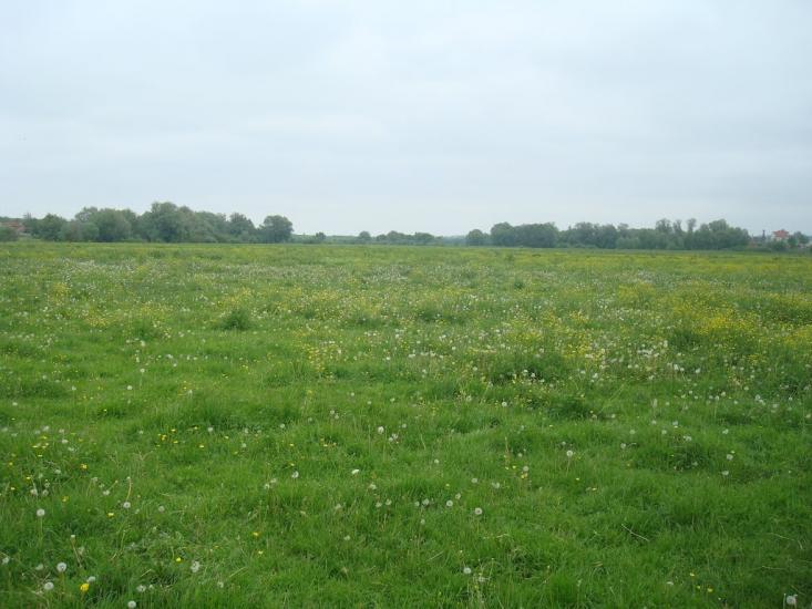 Малашівці з panoramio.com - Малашевцы