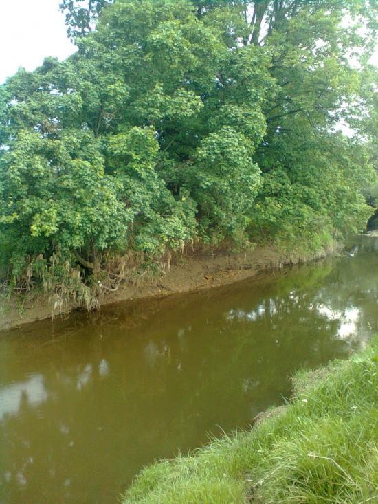 Копанки з panoramio.com - Копанки