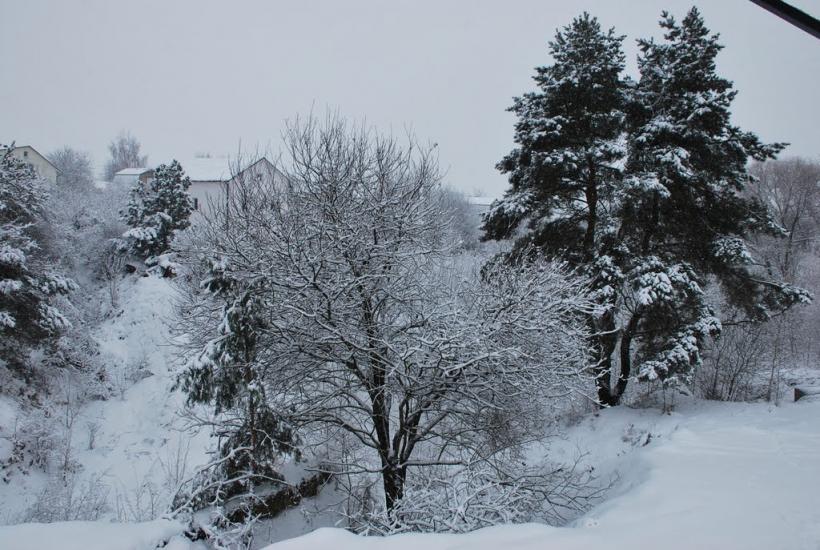 Гвоздів з panoramio.com - Гвоздов