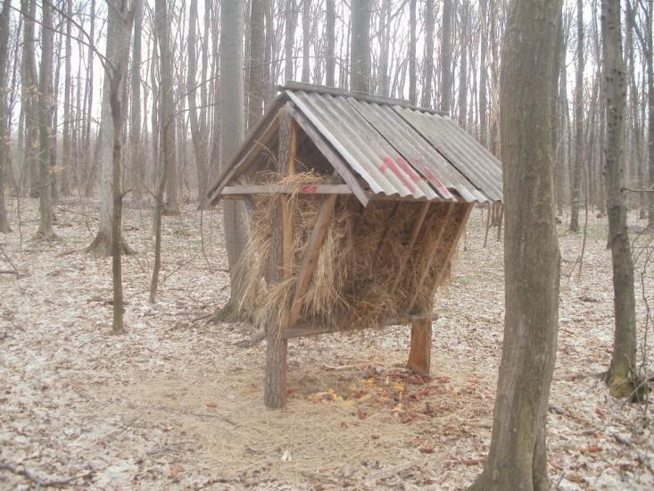 Бережне з panoramio.com - Бережное