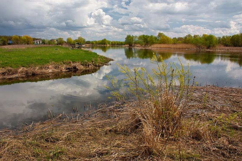 Кривуші з panoramio.com - Кривуши